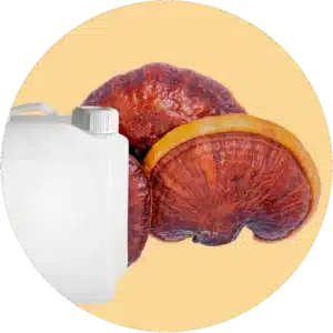 Comprar bidón de 18.9 litros de extracto liquido de hongo Reishi