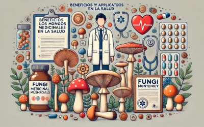 Beneficios y aplicaciones de los hongos medicinales en la salud
