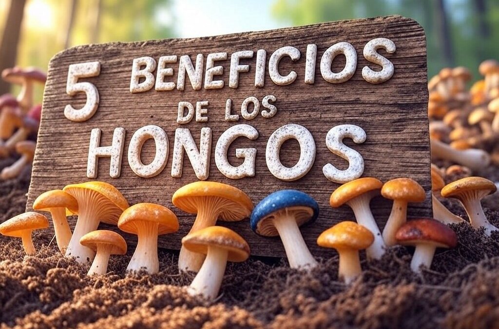 5 beneficios de los hongos comestibles para tu salud y bienestar