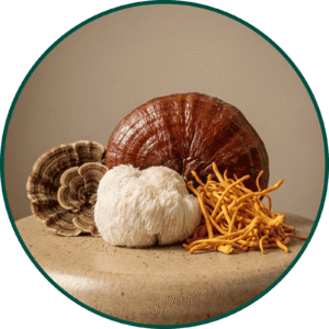 Mezcla de Hongos a Granel